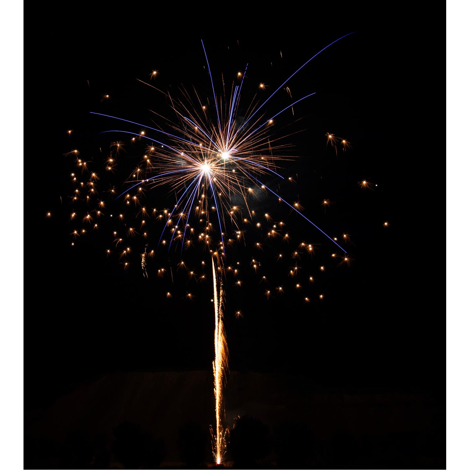 Flowergirls 64 Schuss – Bild 3