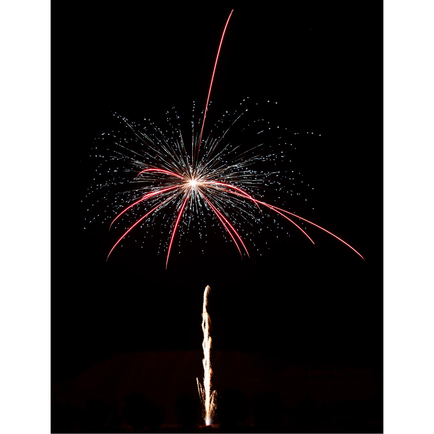 Flowergirls 64 Schuss – Bild 2